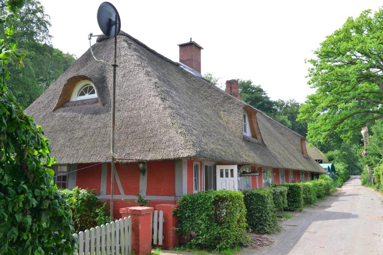 Wohnungen unter Reet Krems Zwei Exterior foto